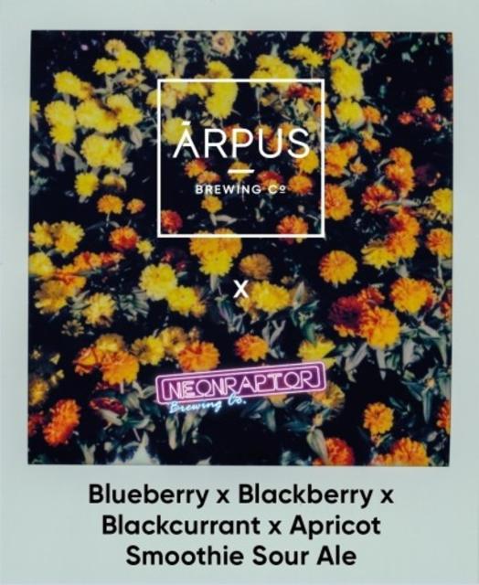 Blueberry x Blackberry x Blackcurrant x Apricot Smoothie Sour Ale 5.0%, Ārpus Brewing Co., Latvia