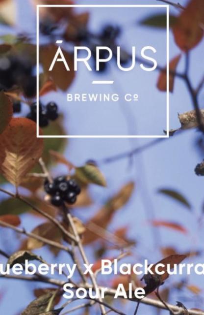 Blueberry x Blackcurrant Sour Ale 5.5%, Ārpus Brewing Co., Latvia