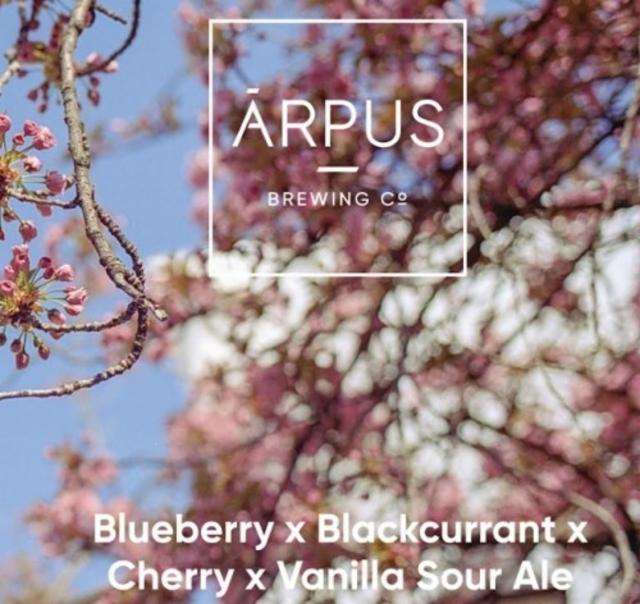 Blueberry x Vanilla Sour Ale 5.5%, Ārpus Brewing Co., Latvia