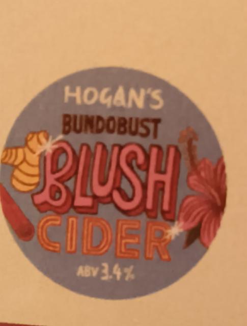 Blush Cider 3.4%, Hogan's Cider, England
