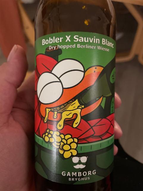 Bobler x sauvin blanch, Gamborg bryghus