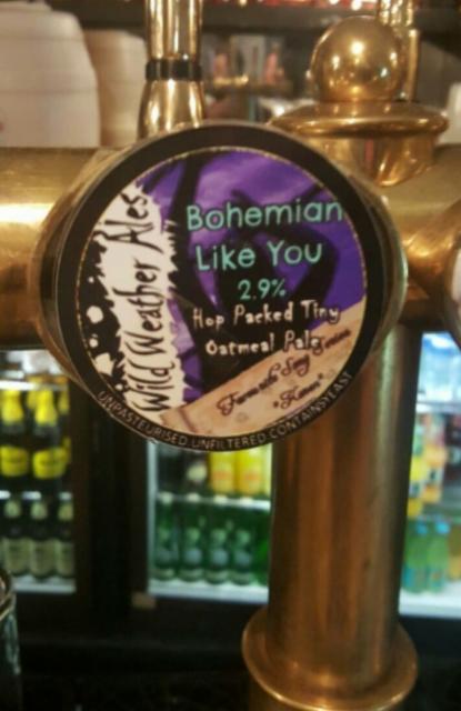 Bohememian Like You 2.9%, Wild Weather Ales, England