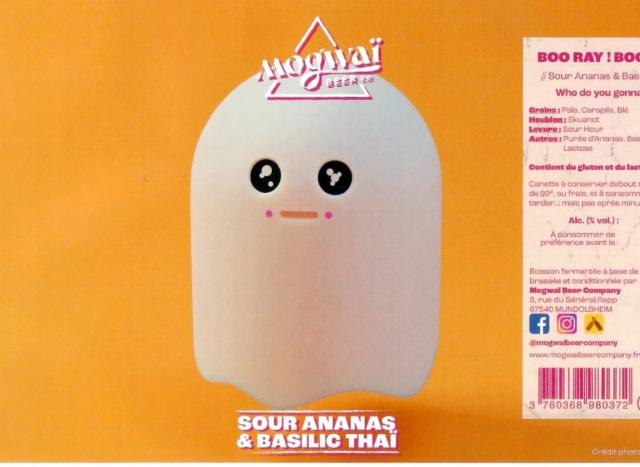 Boo Ray ! Boo Ray ! 6.7%, Mogwaï Beer Company, France