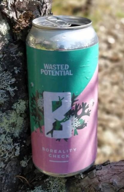 Boreality Check 5.0%, Ant Brew, Finland