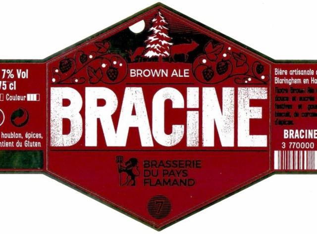 Bracine Brown Ale 7.0%, Brasserie Du Pays Flamand, France