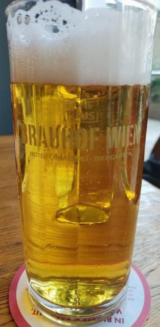 Brauhof Helles 4.8%, Kaltenhauser Botschaft Fünfhaus, Austria