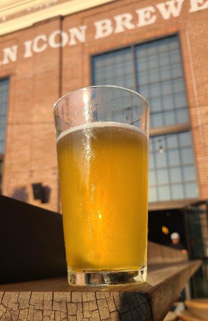 Brave World Belgian Wit 5.0%, American Icon, United States