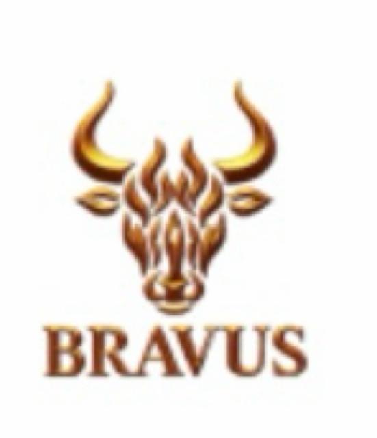 Bravus Lager 4.0%, Bravus, United Kingdom