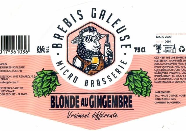 Brebis Galeuse Blonde Au Gingembre 5.8%, Brasserie Brebis Galeuse [Closed], France