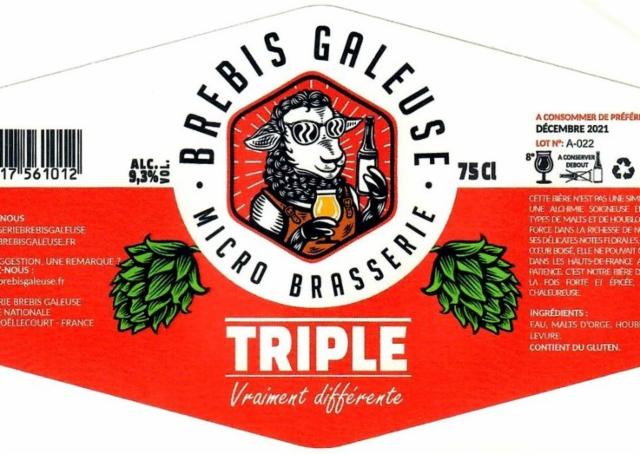 Brebis Galeuse Triple 9.3%, Brasserie Brebis Galeuse [Closed], France