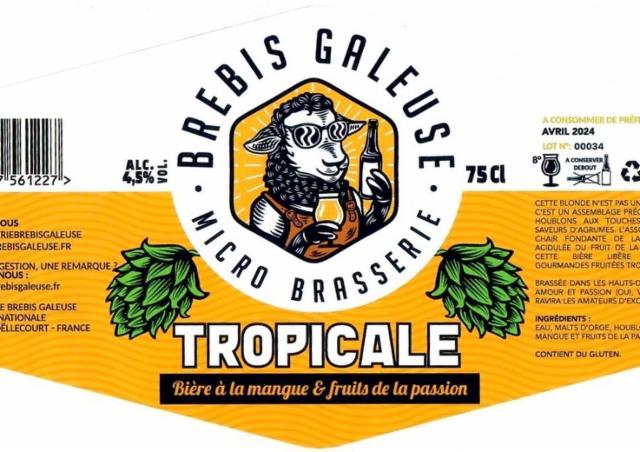 Brebis Galeuse Tropicale 8.0%, Brasserie Brebis Galeuse [Closed], France