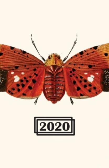 Brett Series 2020 - Imperial Berliner Weisse - Lambicus & Amalgamation 9.5%, Brasserie Effet Papillon, France