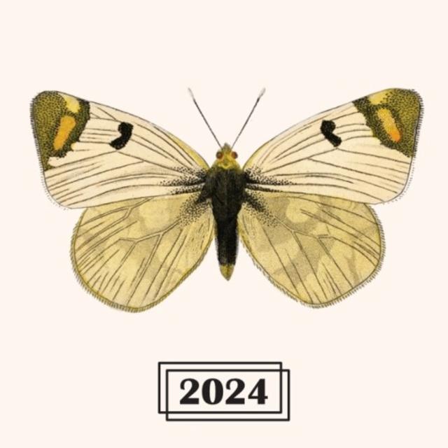 Brett Series 2024 - Petite Brett 4.5%, Brasserie Effet Papillon, France