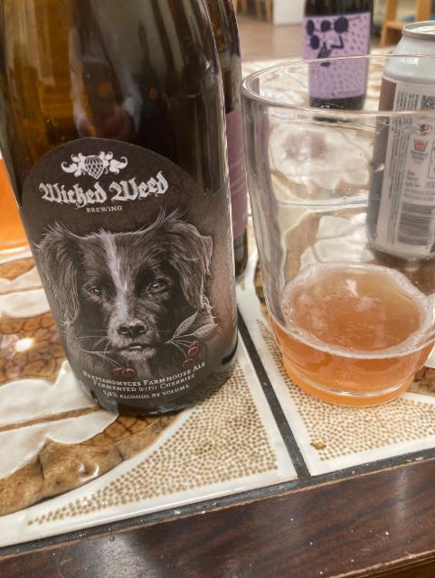 Brettanomyces Farmhouse Ale 5.8%, Wicked Weed Brewing, United States