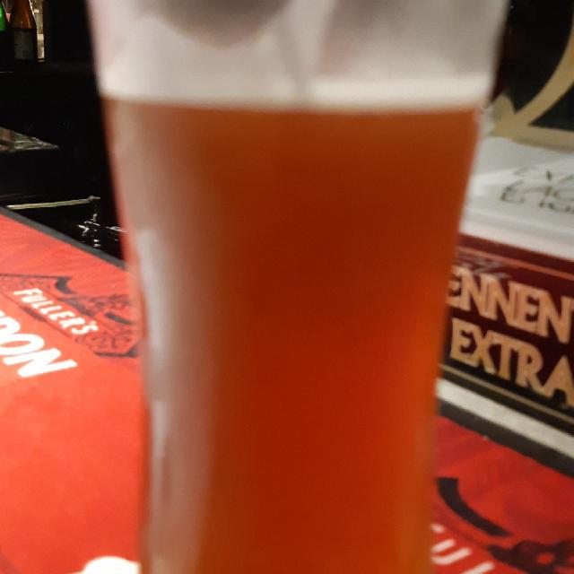 Quaternion 8.4%, Spyglass Brewing Company, United States