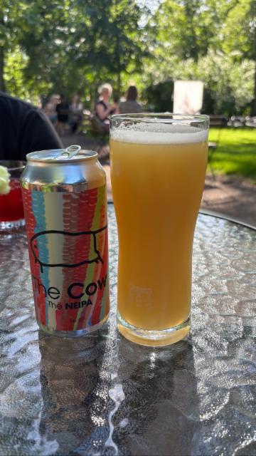 Brilliant Cattle Neipa 6.5%, Salama Brewing Company, Finland