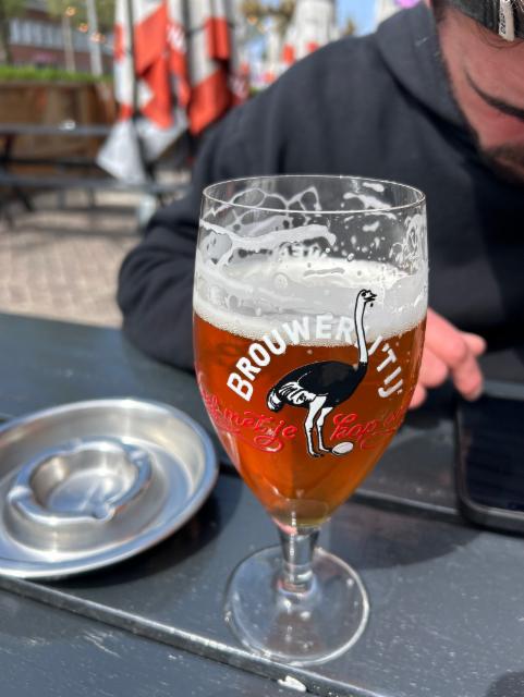 Brouwerij 7.0%, Brouwerij 't IJ, Netherlands