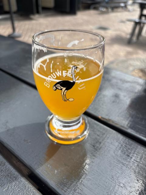 Brouwerij'tij N!jpa 6.2%, Brouwerij 't IJ, Netherlands