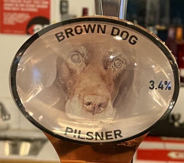 Brown Dog Pilsner 3.4%, Camerons Brewing Company, England