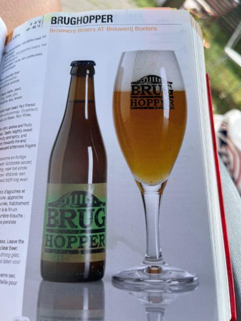 Brughopper 5.5%, Brouwerij Boelens, Belgium