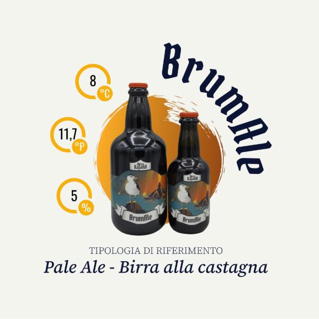 BrumAle 5.0%, Birra Kajana, Italy
