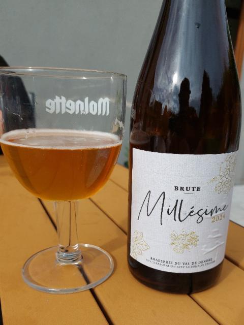 Brute Millésime 2024, Brasserie Du Val De Dendre