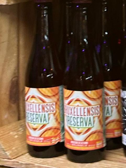 Bruxellensis Reserva : Barrel Aged Local Brett Pale Ale 7.2%, Brasserie De La Senne, Belgium