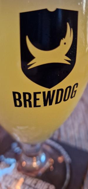 Bungo 5.0%, New Zealand Beer Collective (NZBC), Scotland