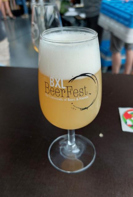 Buried In Riches 6.0%, Hop Hooligans, Romania