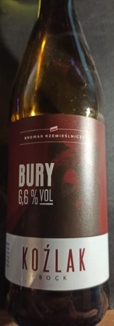Bury Koźlak, Browar Bury