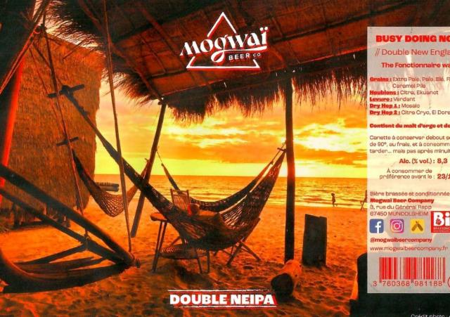 Busy Doing Nothing 8.3%, Mogwaï Beer Company, France