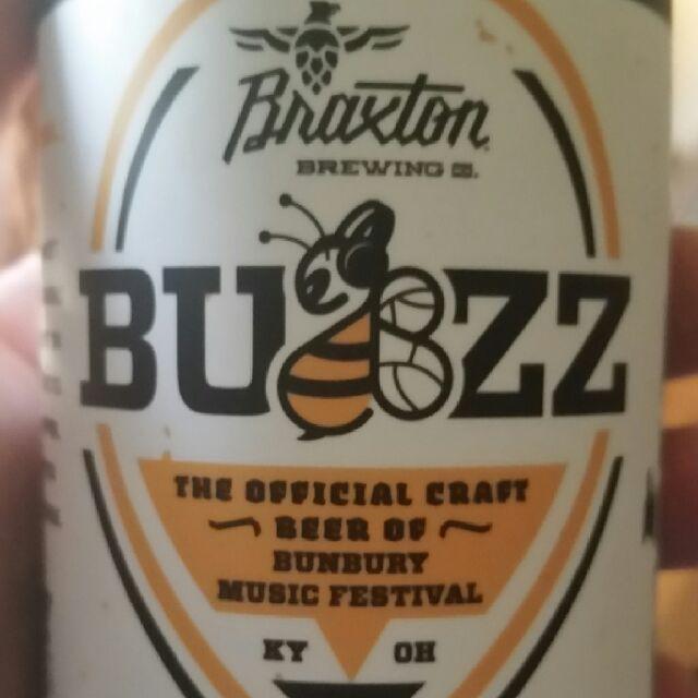 Buzz 5.1%, Braxton Brewing Company, United States