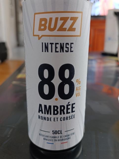 Buzz Intense Ambrée 8.8%, Brasserie De France, France