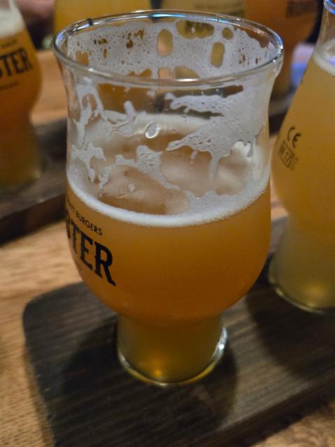 C4 IPA 5.1%, Nova Runda, Croatia