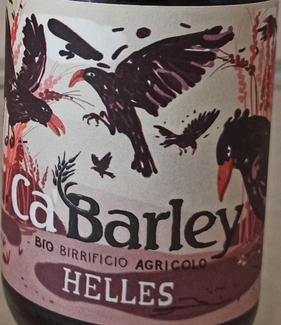 Ca' barley Helles 4.5%, Ca' Barley, Italy