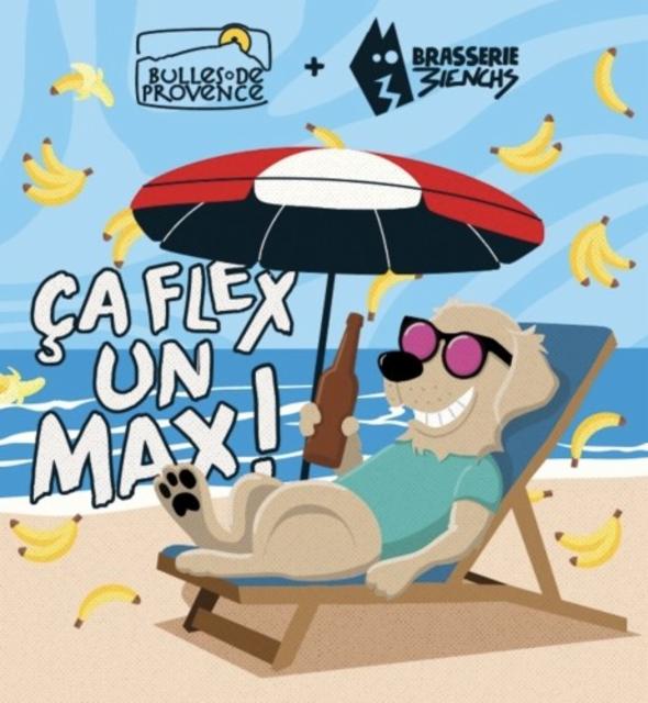 Ça Flex Un Max ! 4.6%, Bulles De Provence - Brasserie De Puyricard, France