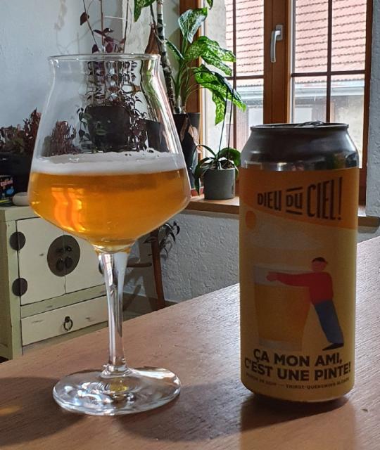 Ça mon ami, c'est une pinte ! 5.0%, Brasserie Dieu du Ciel!, Canada