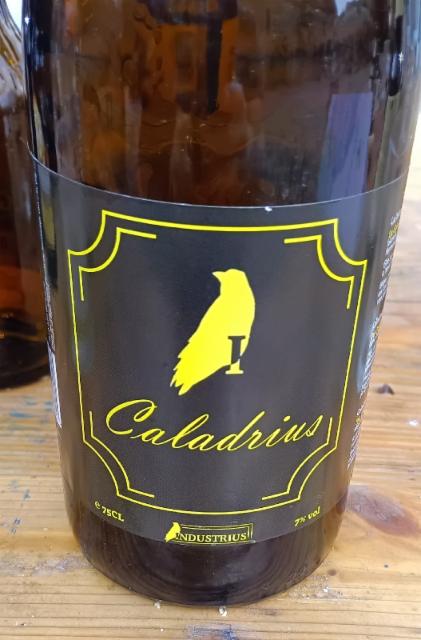 Caladrius Originelle 7.0%, Industrius, Belgium