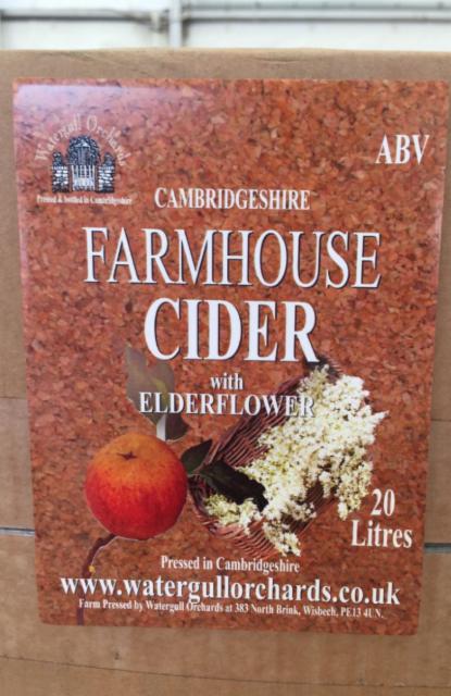Cambridgeshire Farmhouse Cider With Elderflower 4.9%, Watergull Orchards, England