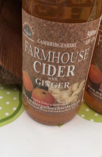 Cambridgeshire Farmhouse Cider With Ginger 4.9%, Watergull Orchards, England