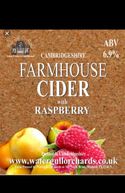 Cambridgeshire Farmhouse Cider With Raspberry 6.9%, Watergull Orchards, England