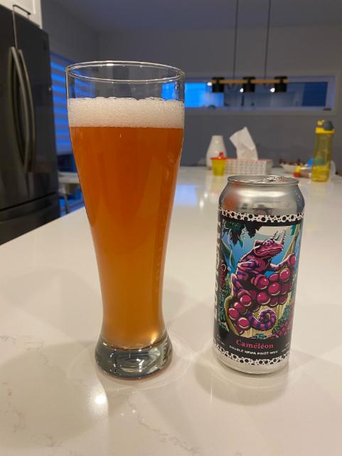 Caméléon Pinot Noir 8.0%, L'octant Microbrasserie Inc, Canada