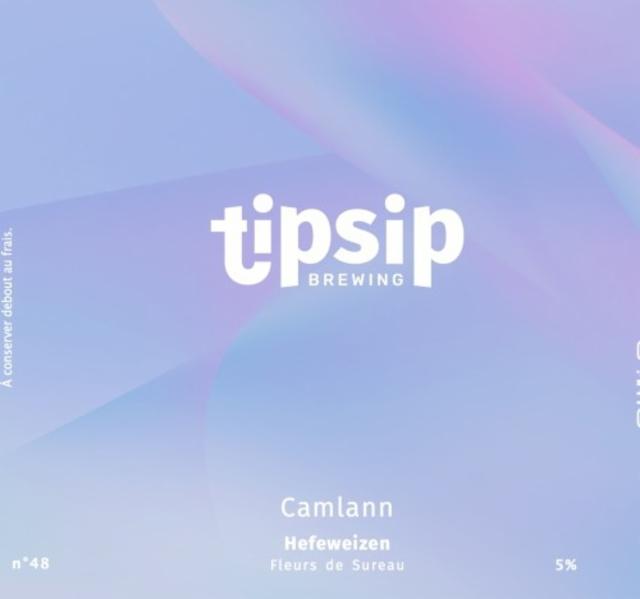 Camlann 5.0%, Tipsip Brewing (Ex Tipsy Brewing), France