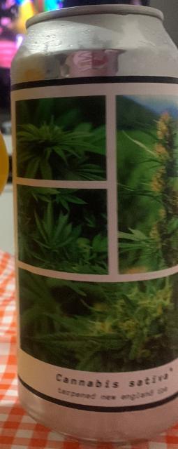 Canabis Sativa 7.0%, Greenhouse Brewery, Brazil