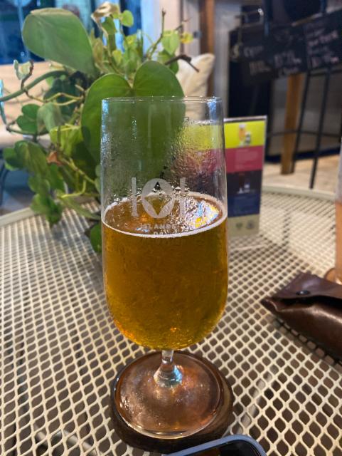 Canard Kolsch 4.7%, Canard Brewing Co, Indonesia