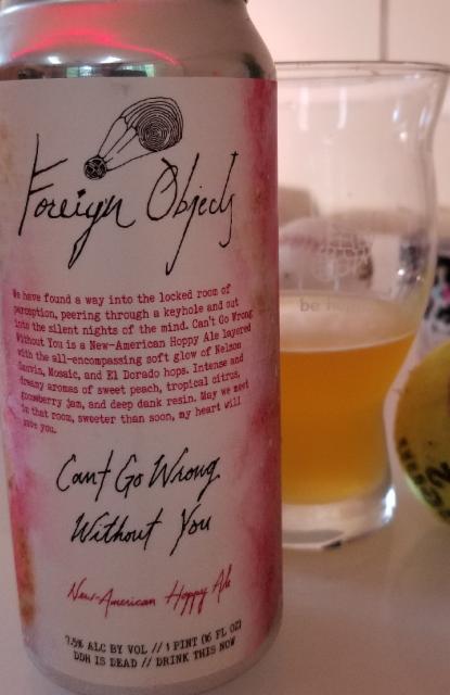 cant go wrong without you 7.5%, Foreign Objects Beer Company, United States