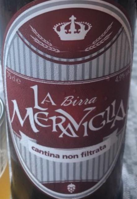 Cantina Non Filtrata 4.9%, La Birra Meraviglia, Italy