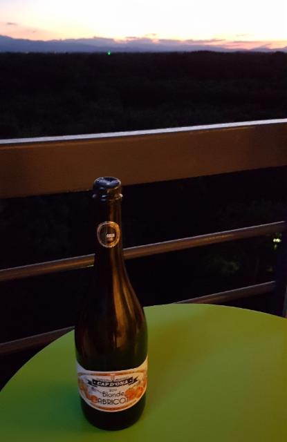 Cap d'Ona Blonde Abricot Bio 4.5%, Brasserie Cap d'Ona, France