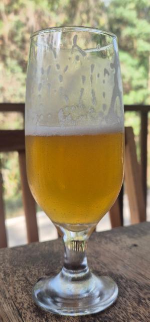 Capim Limão 4.4%, Zalaz Microbrewery, Brazil