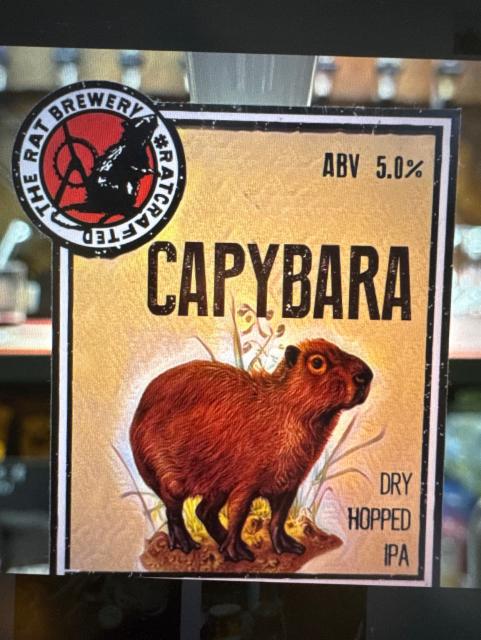 Capybara, The Rat Brewery